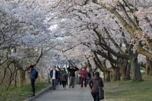 Подробнее о статье Афиша с Я. Меновщиковой (30.04.25)